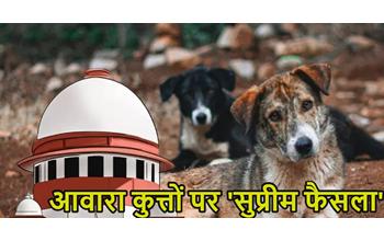 छत्तीसगढ़ सहित सभी राज्यों में नसबंदी किए गए कुत्तों को शेल्टर होम में रखा जाए, एक भी आवारा कुत्ता सड़कों पर न दिखे