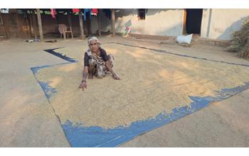 मेहनत की कमाई को अब उम्मीद के अनुसार पूरा मोल मिल रहा है।