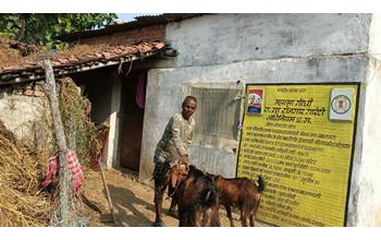 बकरी शेड निर्माण से महेत्तर लाल की आजीविका को नया सहारा मिला