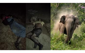 गजराज का आतंक जारी, सो रहे पति-पत्नी को कुचलकर मार डाला