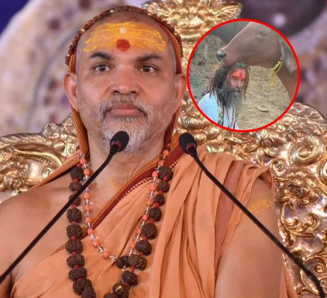 आरोप: यूपी में गो रक्षक ही सुरक्षित नहीं