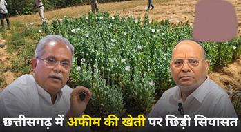 छत्तीसगढ़ में अफीम खेती पर सियासी घमासान: बघेल का तंज, चंद्राकर ने संरक्षण की जांच की मांग
