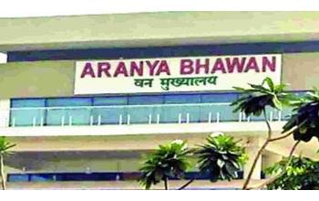 ओपी यादव को PCCF पद पर पदोन्नति, राज्य सरकार ने जारी किया आदेश