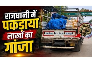 रायपुर में 19.10 लाख रुपये का गांजा जब्त: ट्रक से हो रही थी तस्करी, पश्चिम बंगाल के दो तस्कर गिरफ्तार