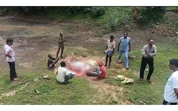 शोक कार्यक्रम में मांस के लिए गौ हत्या का आरोप, जंगल में गाय की खाल निकालते 6 आरोपी गिरफ्तार